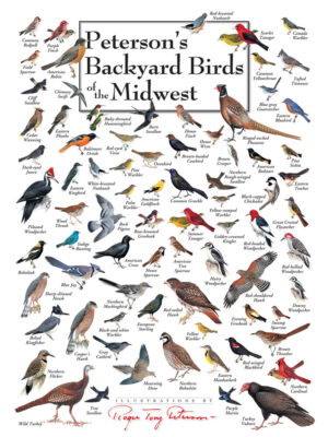 30522 Backyard Birds of the Midwest