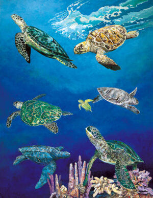 40502 Majestic Sea Turtles